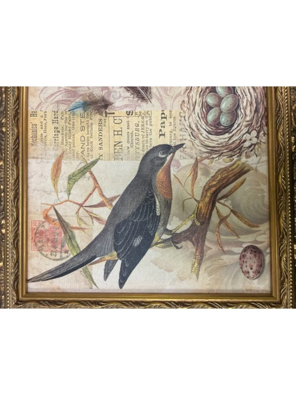Vintage Framed Bird Nest Wall Art Ornate Gold Frame Cottage Farmhouse Decor